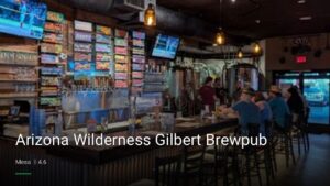 Arizona Wilderness Gilbert Brewpub — Sports bars in Mesa