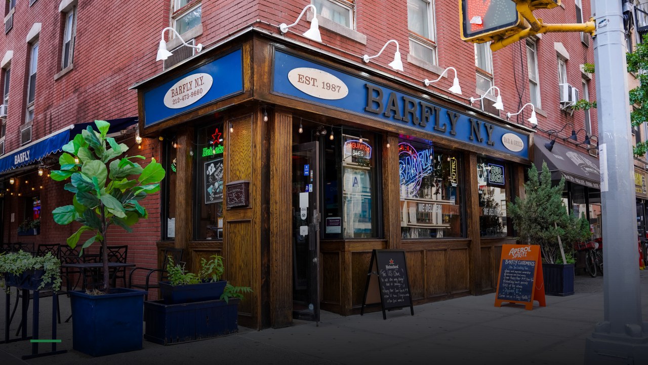 Barfly - Sports Bars in New York