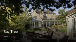 Bay Tree — Pubs in Oxford