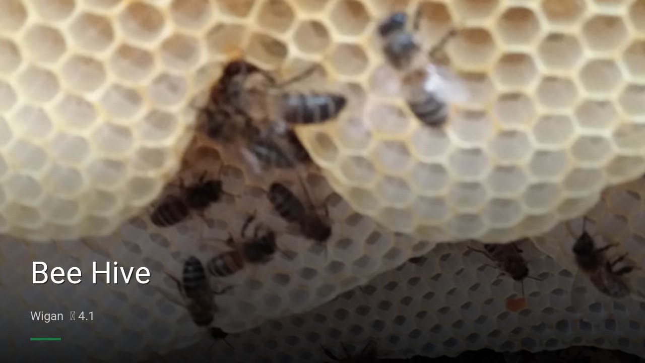 Bee Hive - Sports Bars in Wigan