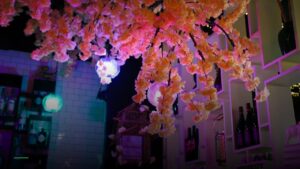 Bendi Wok n’ Bar — Sports bars in Columbus