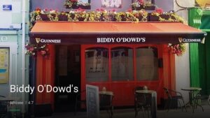 Biddy O’Dowd’s — Pubs in Athlone