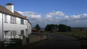 Black Dog — Pubs in Aberdeen