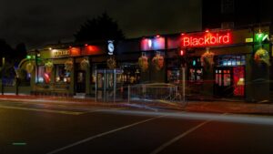 Blackbird — Pubs in Dublin
