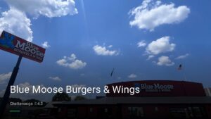 Blue Moose Burgers & Wings — Sports bars in Chattanooga