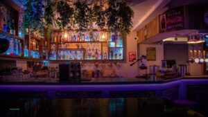 Canalside Lounge — Pubs in Wolverhampton