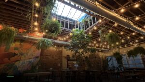 Watch MLB at Casual Animal Brewing Co in Kansas City