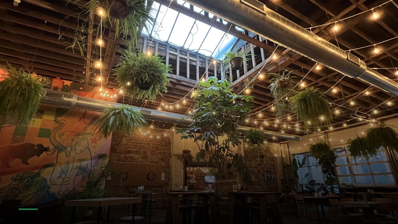 Casual Animal Brewing Co - Sports Bars in Kansas City