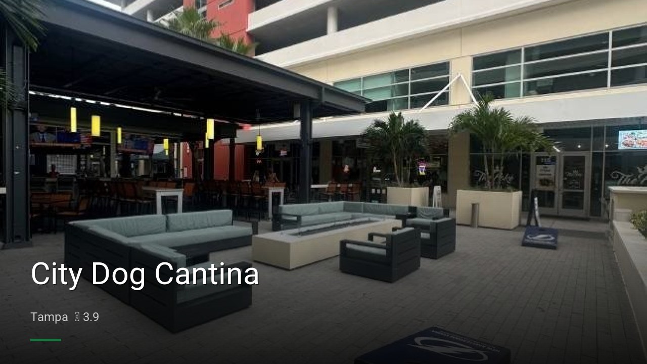 City Dog Cantina - Sports Bars in Tampa