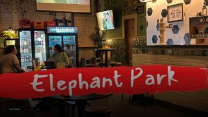 Feed the Yak Elephant Park! — Pubs in London