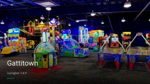 Gattitown — Sports bars in Lexington