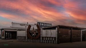 Longhorn Icehouse — Sports bars in Dallas