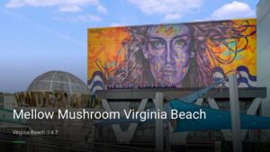 Mellow Mushroom Virginia Beach — Sports bars in Virginia Beach