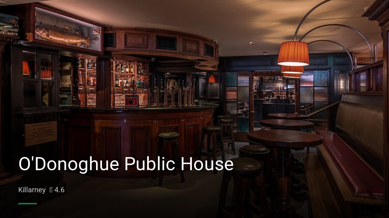 O'Donoghue Public House - Sports Bars in Killarney