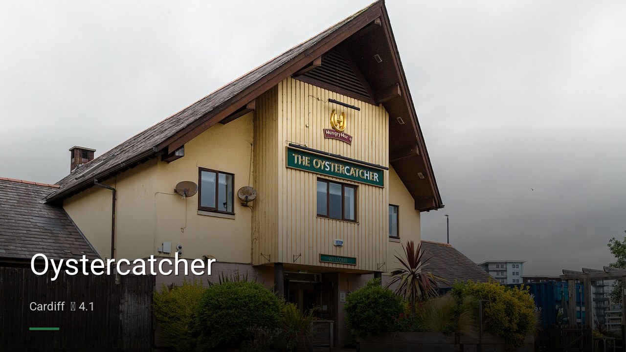 Oystercatcher - Sports Bars in Cardiff