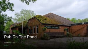 Pub On The Pond — Pubs in Swansea