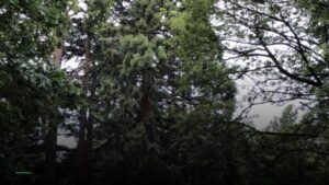 Watch Champions League at Redwood in Watford