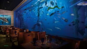 RumFish Grill and Sports Bar — Sports bars in St. Petersburg