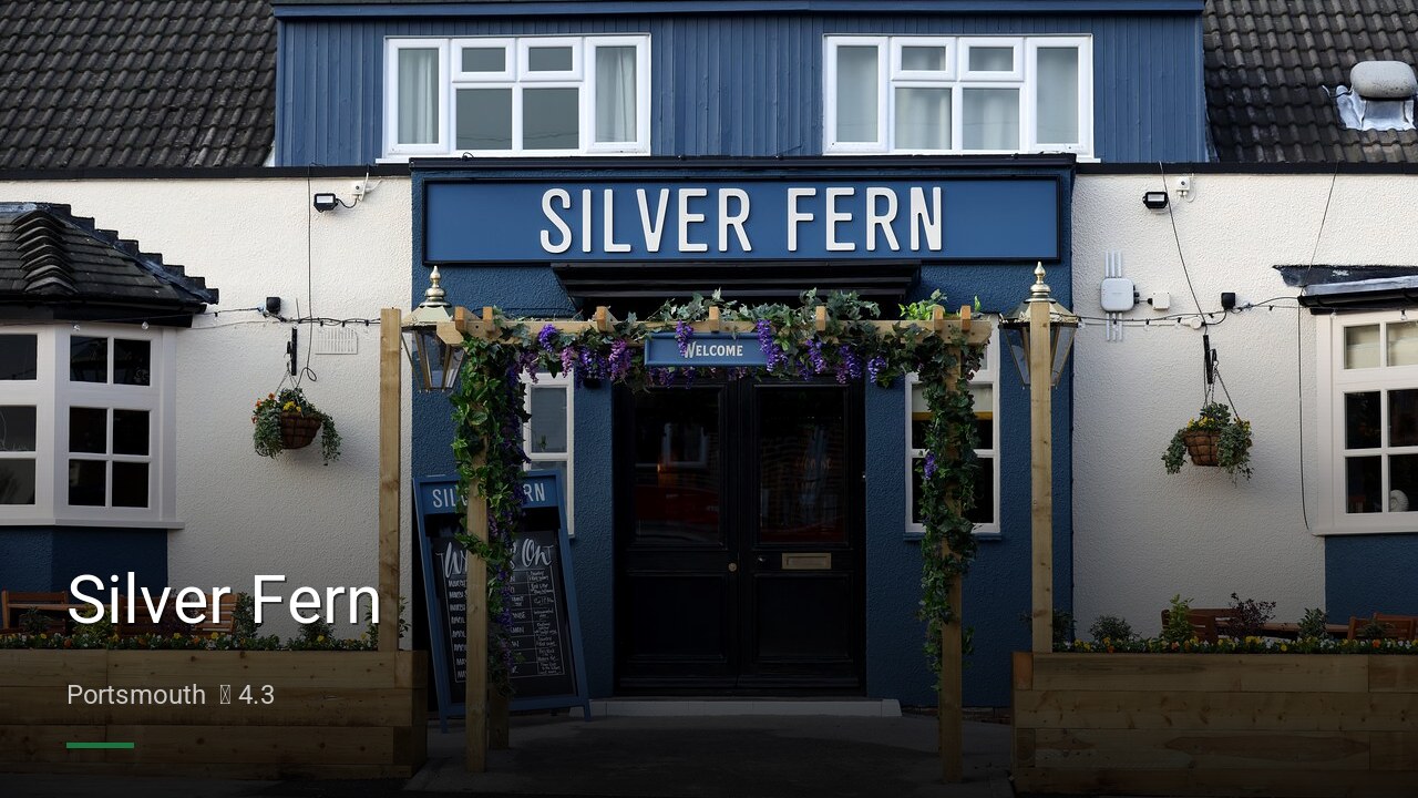Silver Fern - Sports Bars in Portsmouth