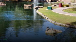 Spokes On Southern — Sports bars in Phoenix