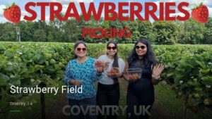 Strawberry Field — Pubs in Coventry