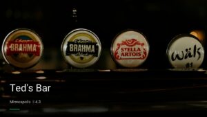 Ted’s Bar — Sports bars in Minneapolis