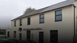 The Ash Tree Bar and Grill, Wolverhampton — Pubs in Wolverhampton