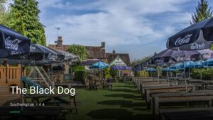 The Black Dog — Pubs in Southampton