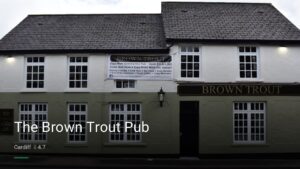 The Brown Trout Pub — Pubs in Cardiff