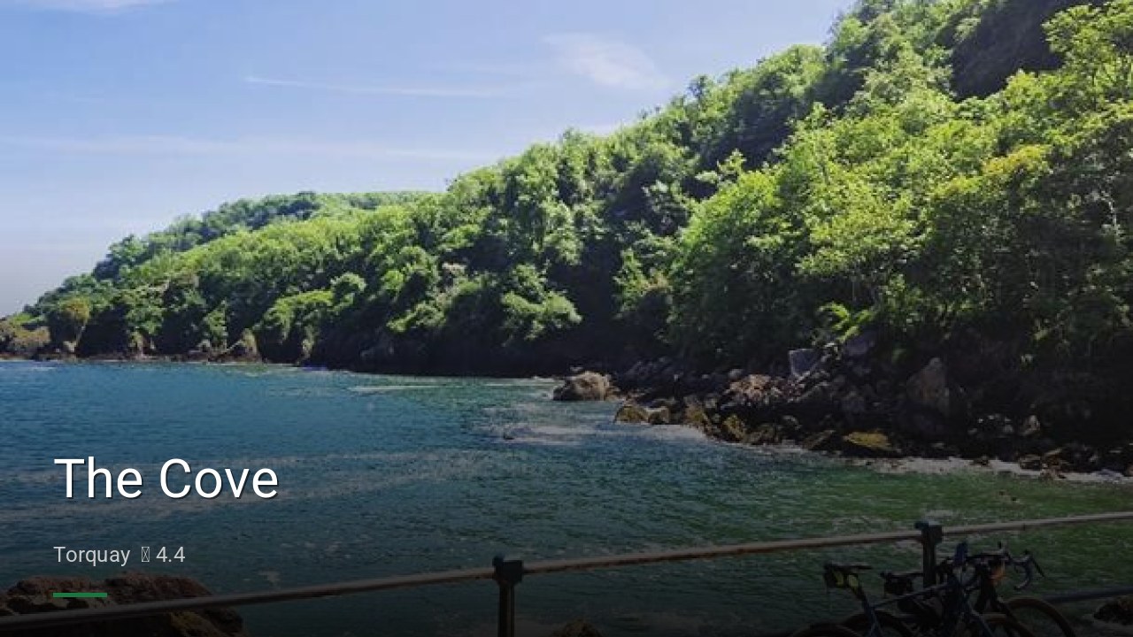 The Cove - Sports Bars in Torquay