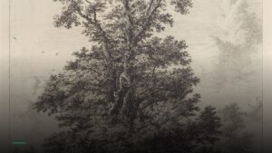 The Elm Tree — Pubs in Crawley