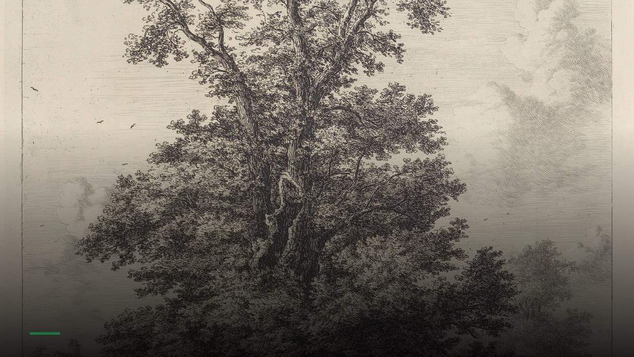 The Elm Tree - Sports Bars in Crawley