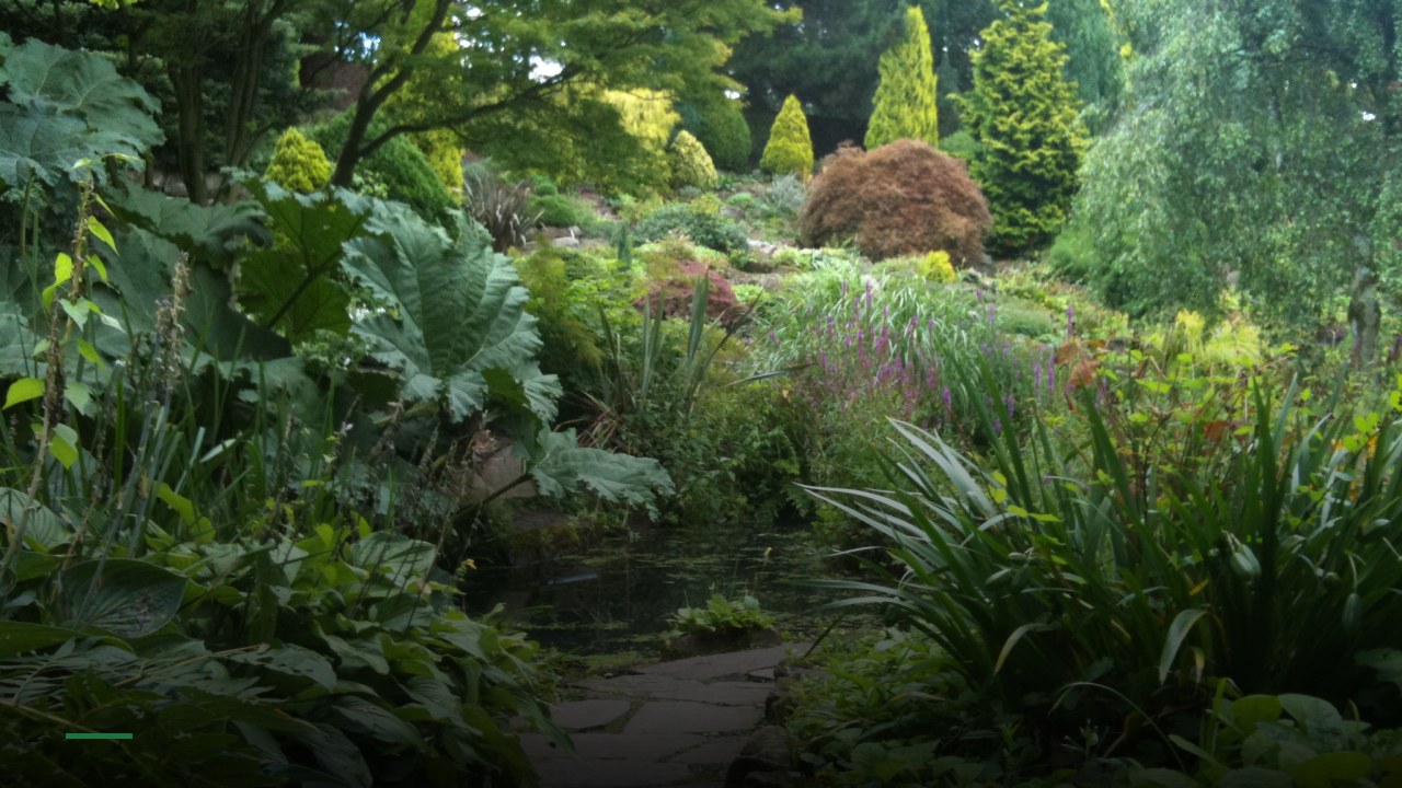 The Fletcher Moss - Sports Bars in Manchester