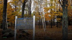 The Grafton — Sports bars in New York