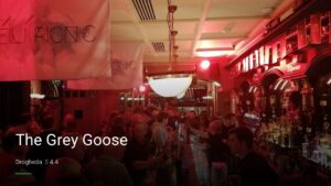 The Grey Goose — Pubs in Drogheda