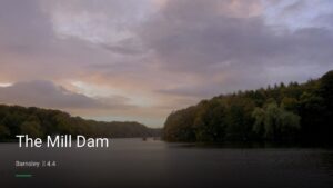 The Mill Dam — Pubs in Barnsley