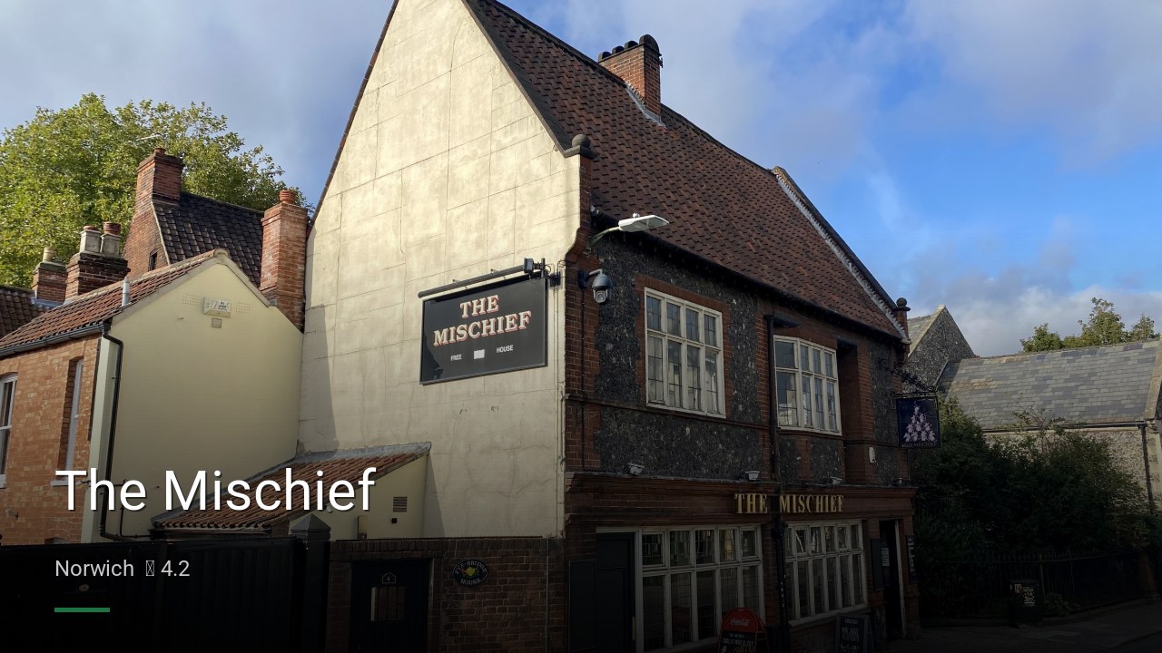 The Mischief - Sports Bars in Norwich