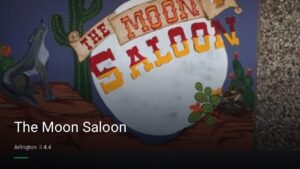 The Moon Saloon — Sports bars in Arlington