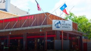 The Nodding Donkey — Sports bars in Dallas