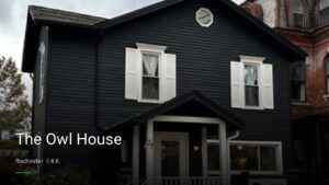 The Owl House — Sports bars in Rochester