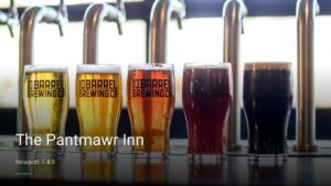 The Pantmawr Inn — Pubs in Newport