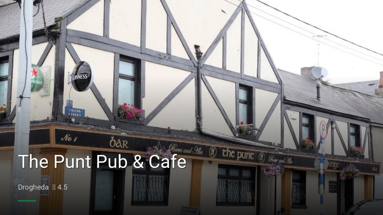 The Punt Pub & Cafe - Sports Bars in Drogheda