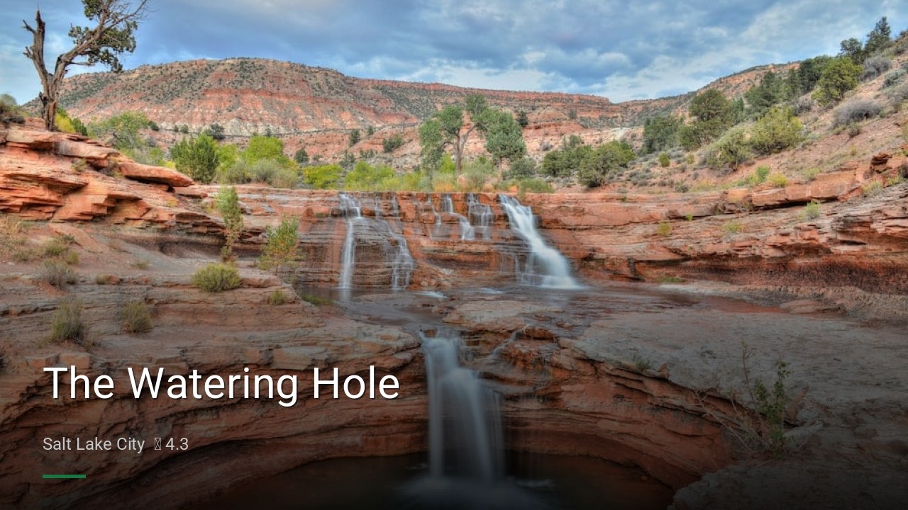 The Watering Hole - Sports Bars in Salt Lake City