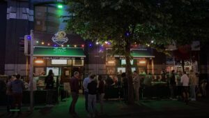 The Wool Shed — Pubs in Dublin