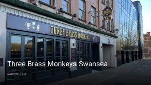 Three Brass Monkeys Swansea — Pubs in Swansea