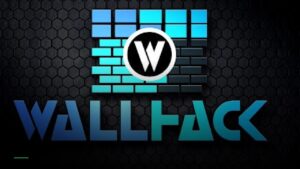 Wallhack Dublin — Pubs in Dublin