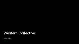 Western Collective — Sports bars in Boise